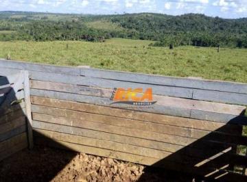 Imagem 1 · Fazenda para venda em Apuí