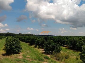 Imagem 1 · Fazenda