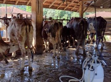 Imagem 1 · Fazenda