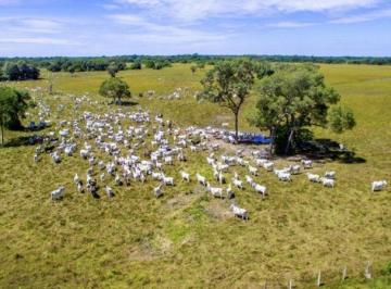 Imagem 1 · Fazenda