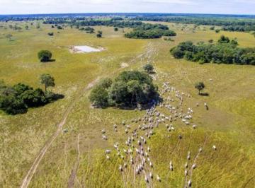Imagem 1 · Fazenda