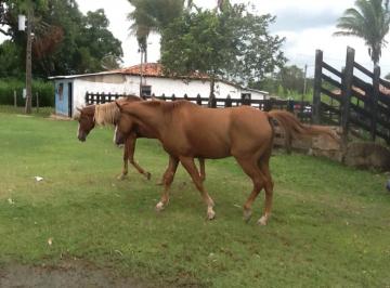 Imagem 1 · Fazenda