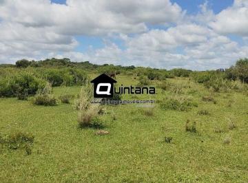 Imagem 1 · Fazenda