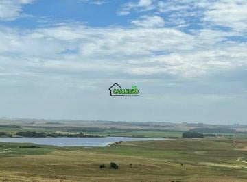 Imagem 1 · Fazenda