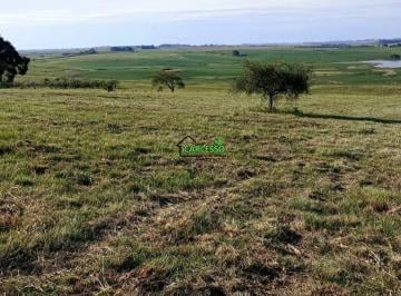 Imagem 1 · Fazenda