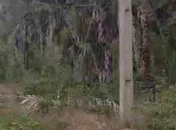 Imagem 1 · Fazenda