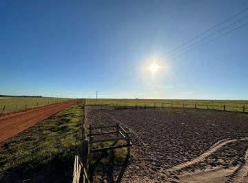 Imagem 1 · Fazenda