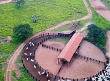 Imagem 1 · Fazenda