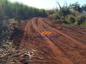 Imagem 1 · Fazenda para venda em São Carlos