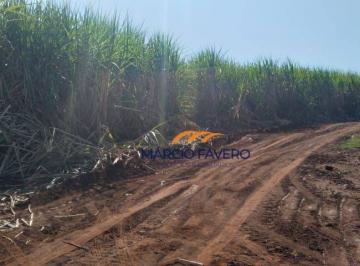 Imagem 1 · Fazenda