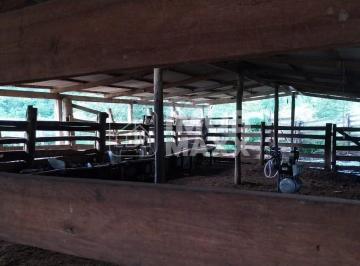 Imagem 1 · Fazenda