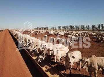 Imagem 1 · Fazenda
