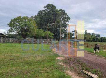 Imagem 1 · Fazenda