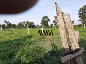 Imagem 1 · Fazenda