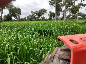 Imagem 1 · Fazenda