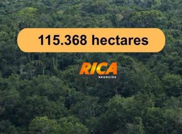 Imagem 1 · Fazenda para venda em Manicoré