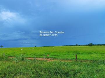 Imagem 1 · Fazenda
