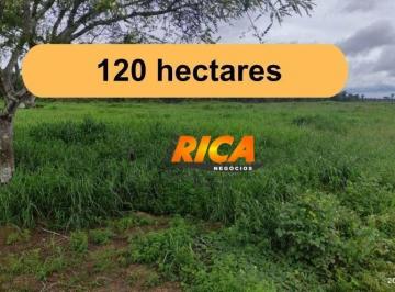Imagem 1 · Fazenda