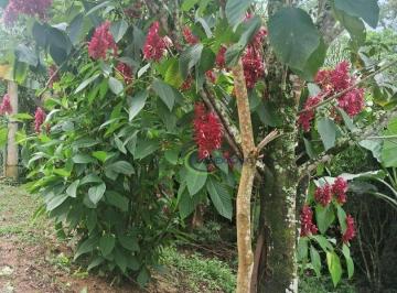 Imagem 1 · Fazenda