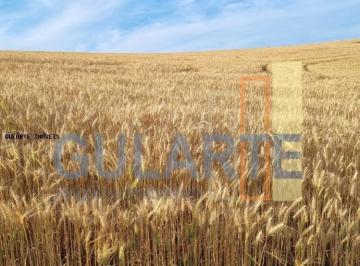 Imagem 1 · Fazenda