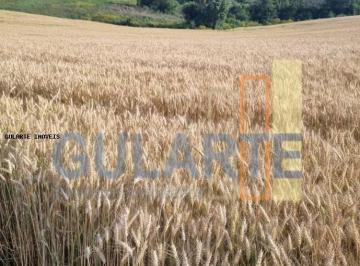 Imagem 1 · Fazenda