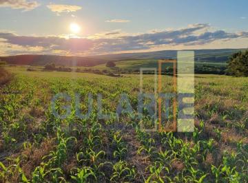 Imagem 1 · Fazenda