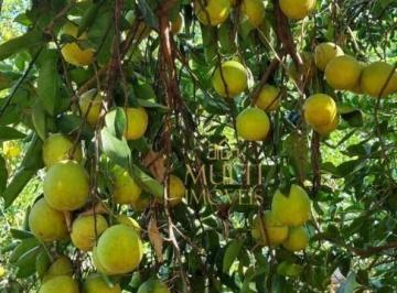 Imagem 1 · Fazenda