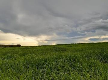 Imagem 1 · Fazenda