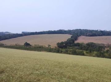 Imagem 1 · Fazenda