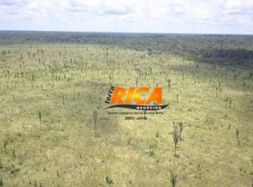 Imagem 1 · Fazenda para venda em Humaitá