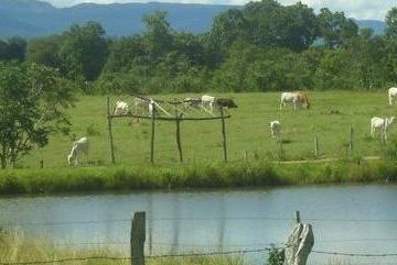 Imagem 1 · Fazenda