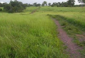 Imagem 1 · Fazenda