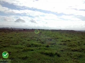 Imagem 1 · Fazenda