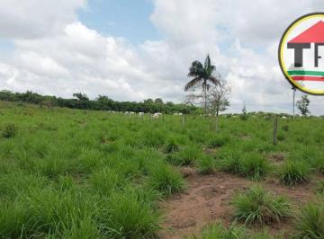 Imagem 1 · Fazenda