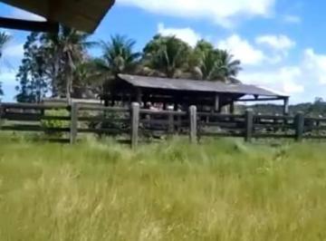 Imagem 1 · Fazenda