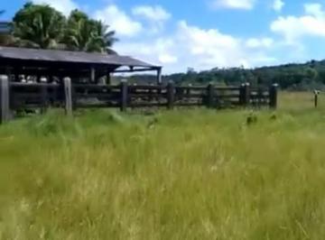 Imagem 1 · Fazenda