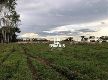 Imagem 1 · Fazenda