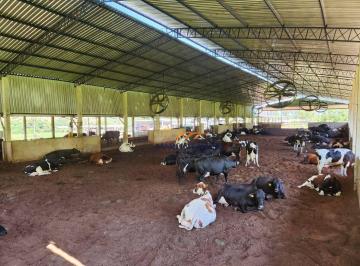 Imagem 1 · Fazenda