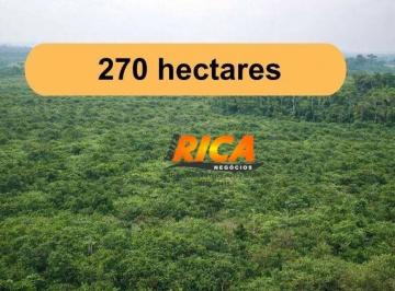 Imagem 1 · Fazenda