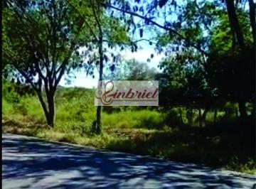 Imagem 1 · Fazenda