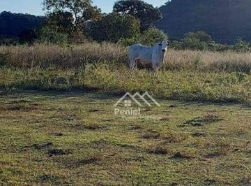 Imagem 1 · Fazenda