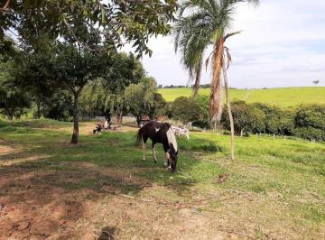 Imagem 1 · Fazenda