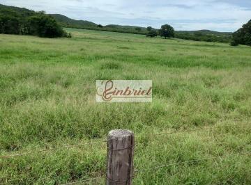 Imagem 1 · Fazenda