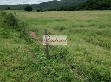 Imagem 1 · Fazenda