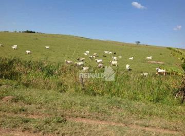 Imagem 1 · Fazenda