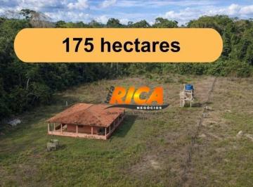 Imagem 1 · Fazenda