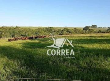 Imagem 1 · Fazenda para venda em Angatuba