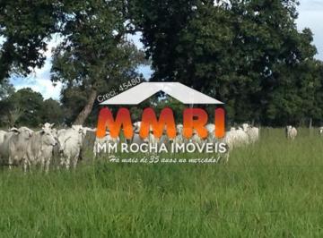 Imagem 1 · Fazenda para venda em Centro, Cocalinho