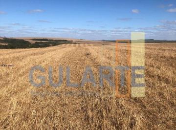 Imagem 1 · Fazenda