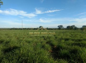 Imagem 1 · Fazenda